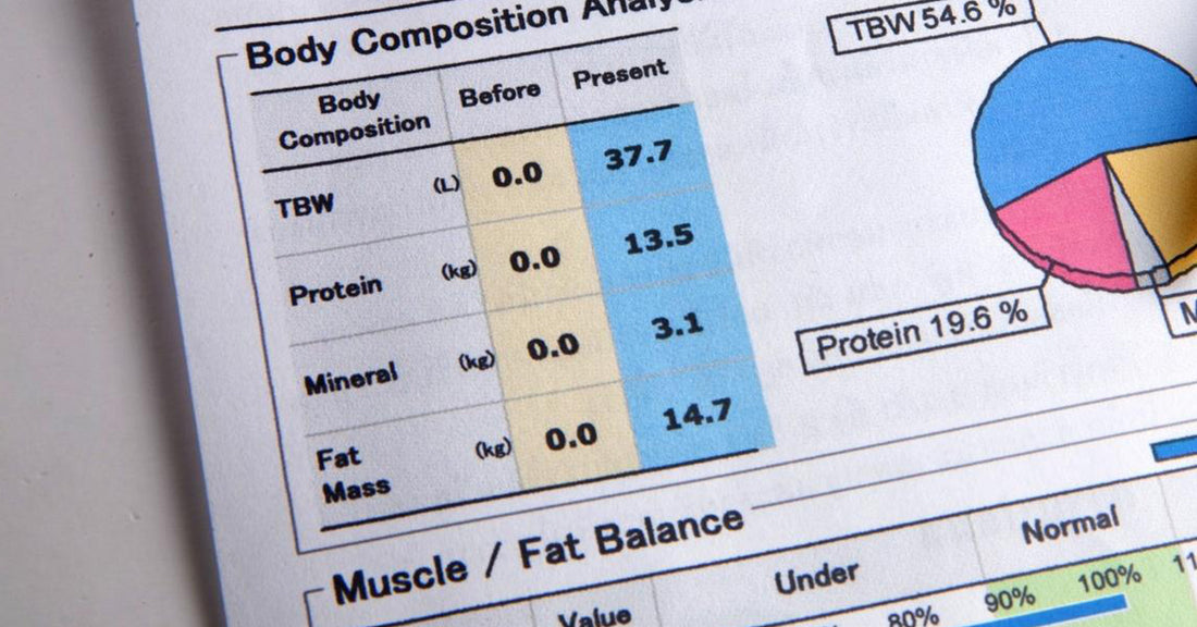 Changes In Body Composition Associated With Menopause