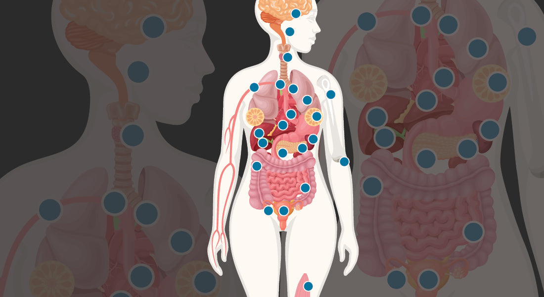 The Systemic Power of Estrogen: What Every Woman Should Know The 'Pause Life by Dr. Mary Claire Haver The Systemic Power of Estrogen: What Every Woman Should Know The 'Pause Life by Dr. Mary Claire Haver