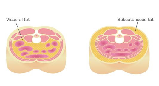 The Science Behind The Menopause Belly: And What Actually Works To Address It