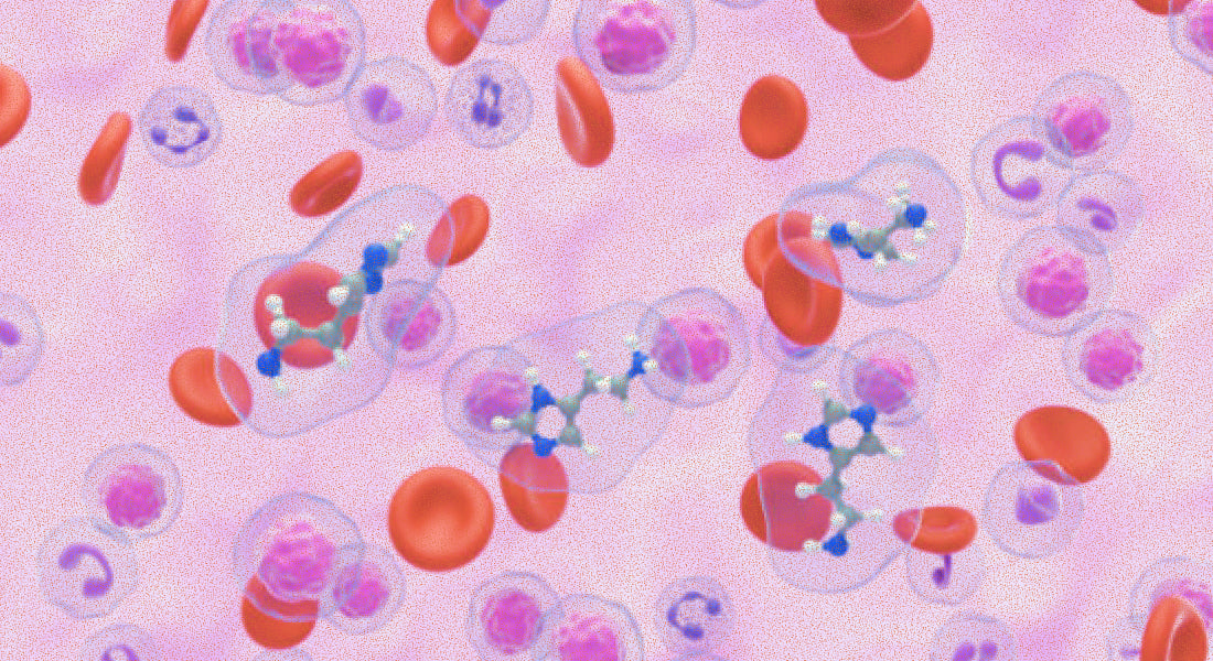 Mast Cells, Histamine, and the Hormone Connection: What Every Woman in Perimenopause Should Know